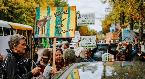 A group of people holding up various signs in support of old-growth. End of image description.