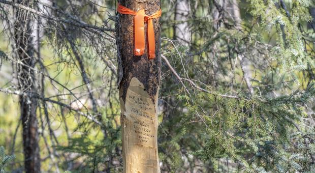 A mining claim post in Nopiming Provincial Park