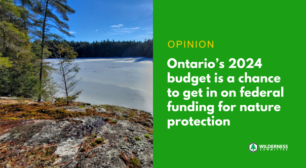 Trees near a body of water. Text over the image says "OPINION: Ontario’s 2024 budget is a chance to get in on federal funding for nature protection." End of image description.