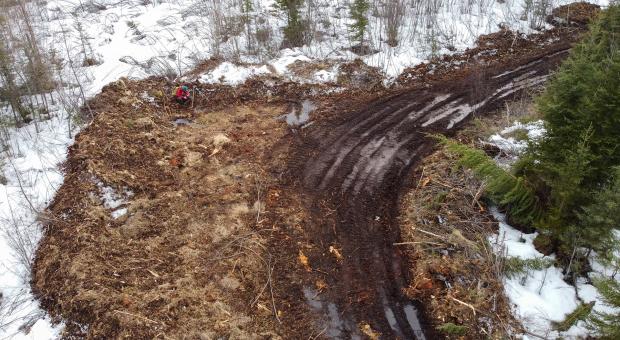 Peatlands bulldozed and destroyed by mineral exploration in Nopiming Provincial Park, 2022