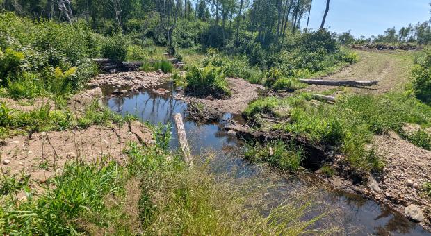 Uninstalled culverts sit beside damaged creek in Duck Mountain Provincial Park