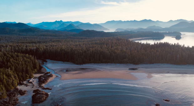 An aerial shot of Clayoquot Sound. End of image description. 