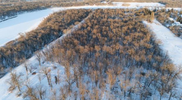 Photo: Lemay Forest (Eric Reder)