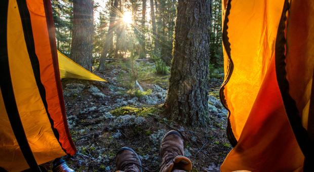 Two boots being laced up through the door of a tent with an old forest and a sunrise outside.