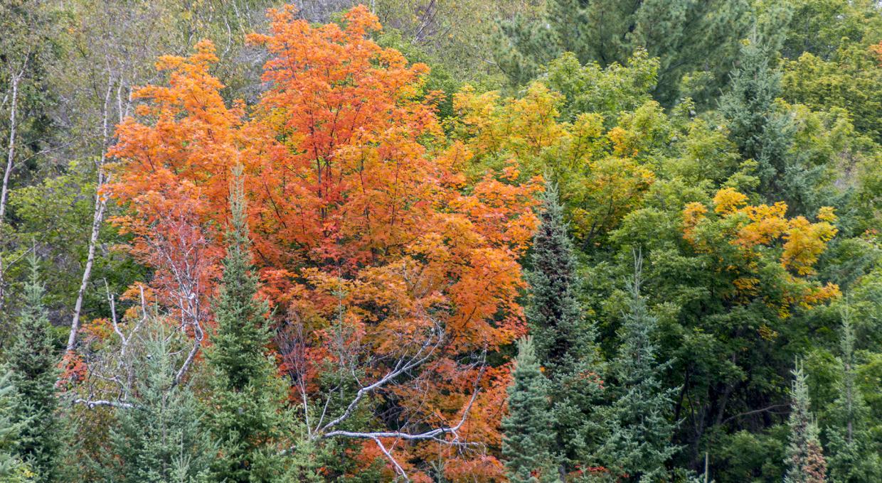 Photos Wilderness Committee