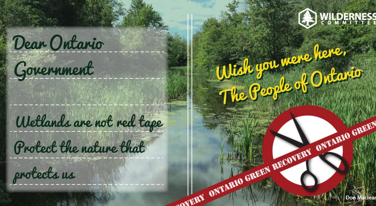 Ontario Environmental Protections Wilderness Committee