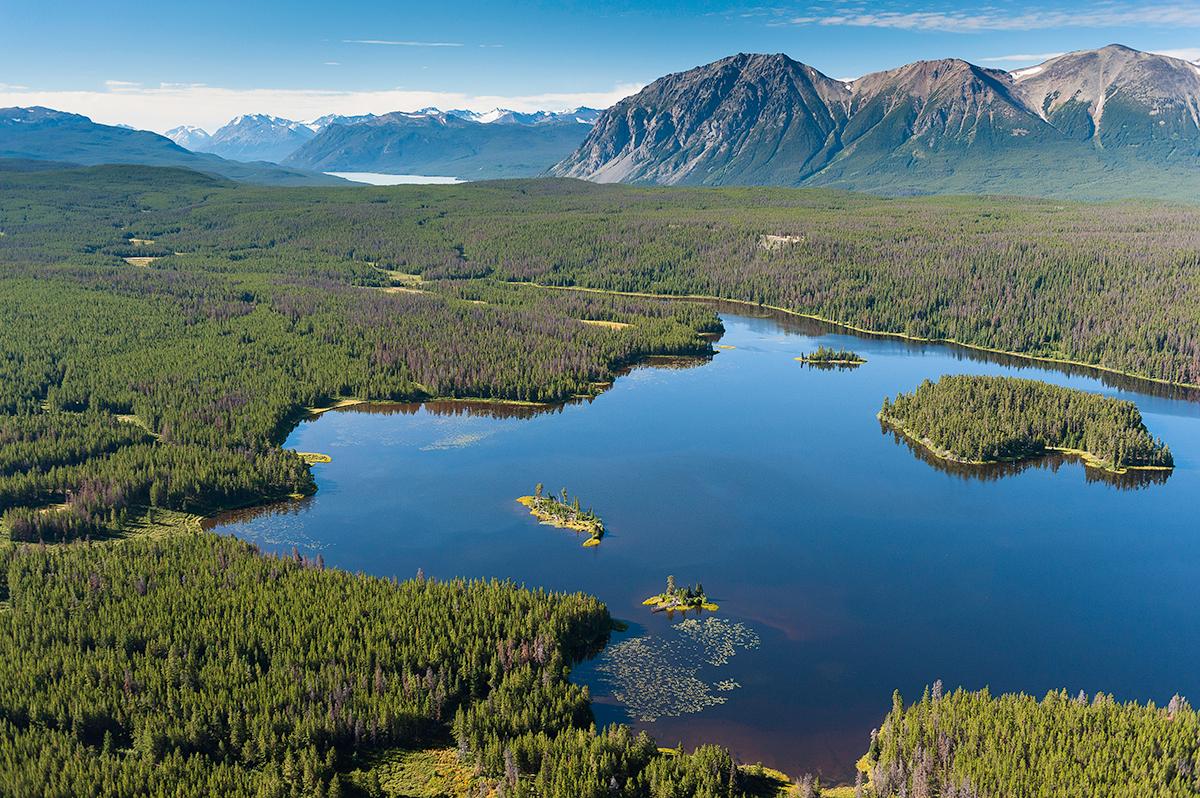 A wetland with forest around it and mountains in the background.