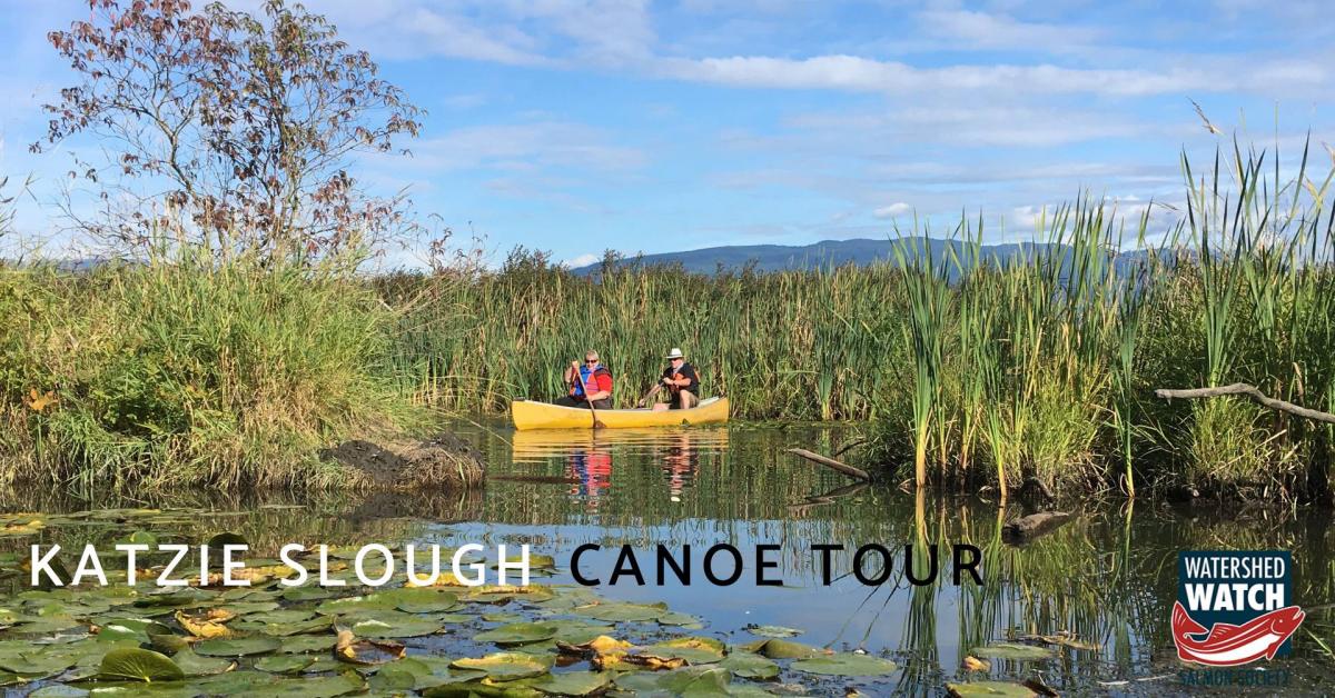katzie slough canoe tour wilderness committee