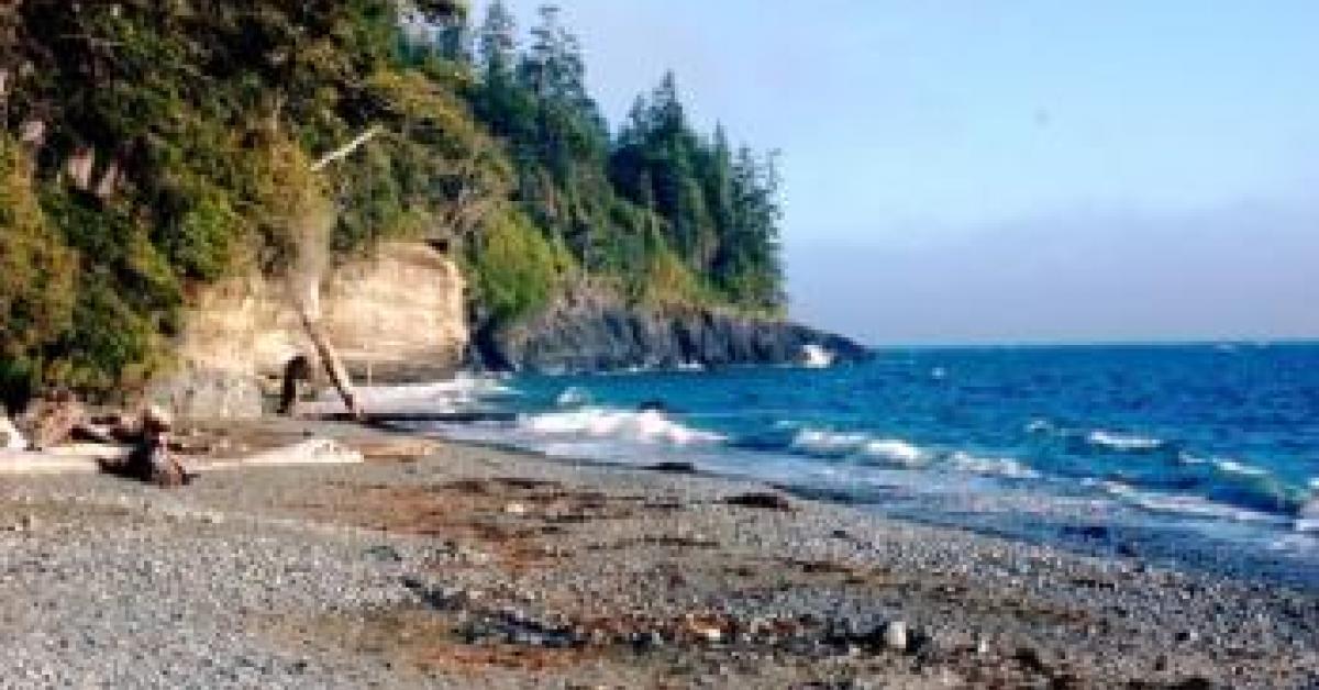 A critical moment: Help us save the Juan de Fuca Trail | Wilderness