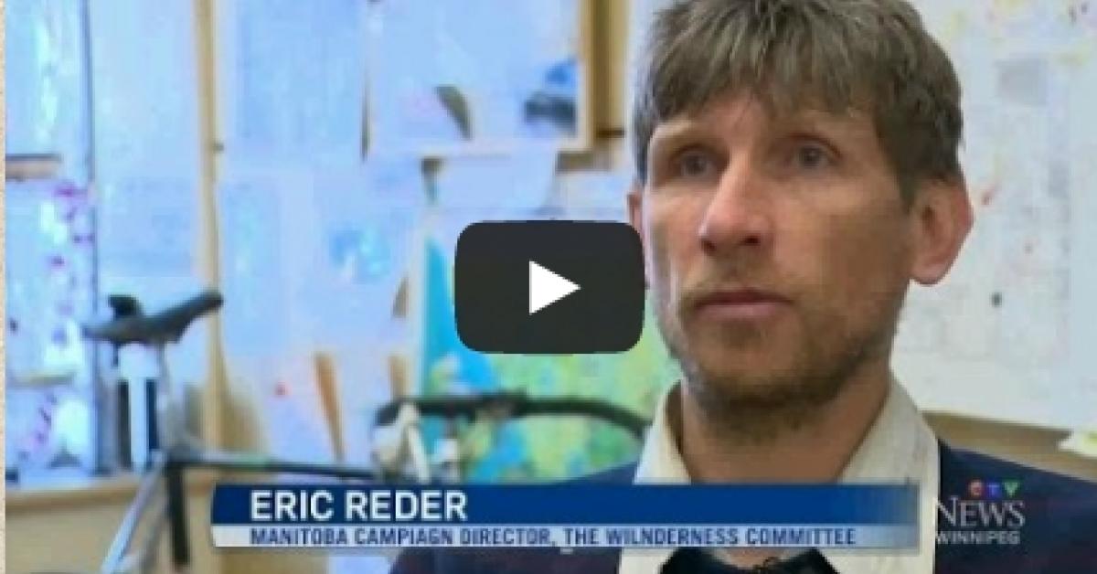 TV News Story - Concern over Bees in Winnipeg | Wilderness Committee