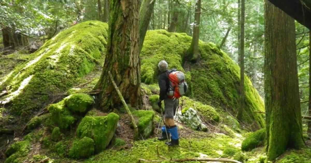 Public meeting to discuss proposed logging tenures on Gambier Island