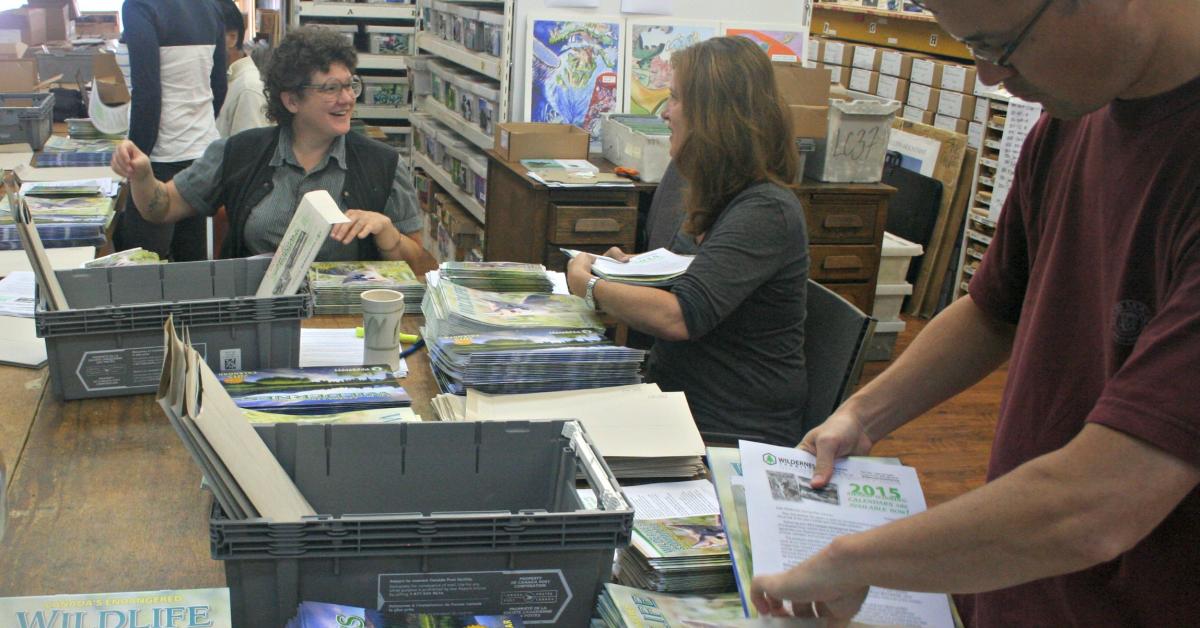 Mailout Assistance Wilderness Committee