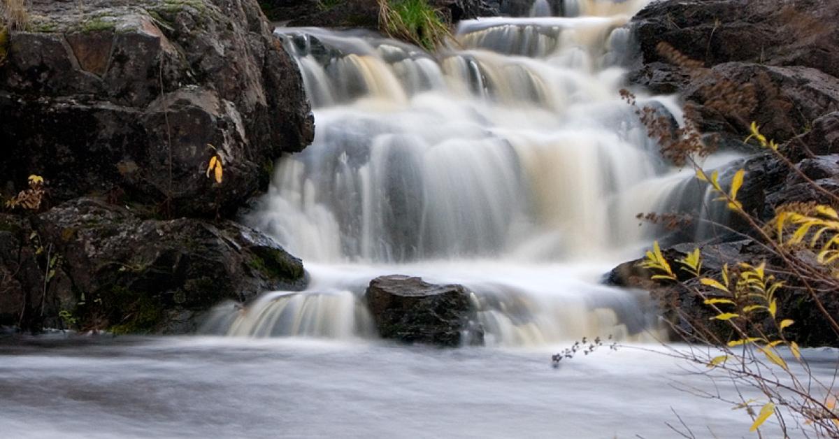 Poplar River Protected A Tremendous Success Wilderness Committee