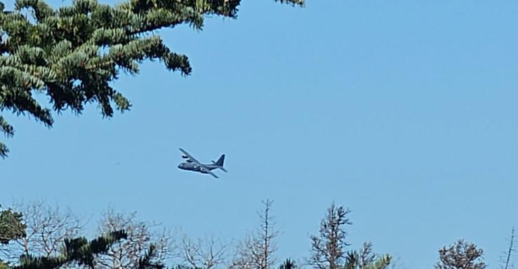 a grey military plane flies low over the forest, framed by pine boughs.