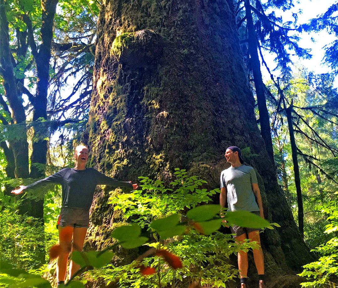 Two people on a sunny day having fun standing in front of an ancient tree in Carmanah Walbran Provincial Park