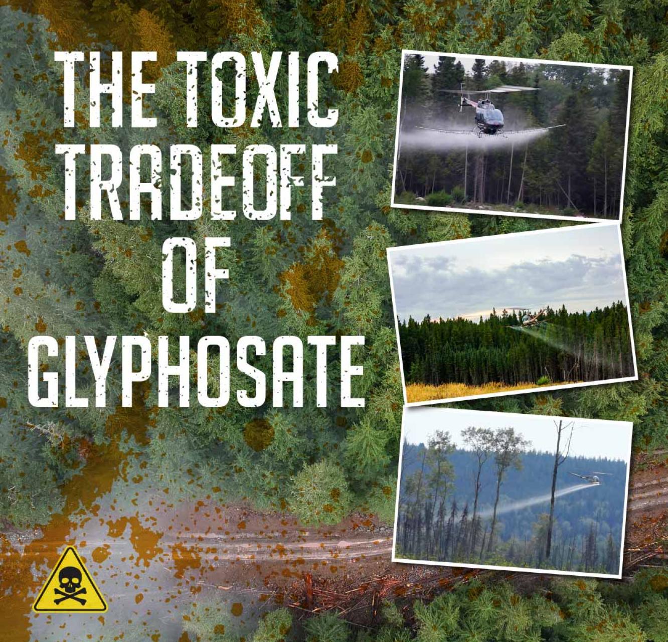 Three photos of helicopters spraying glyphosate from the air over a photo of a logging road