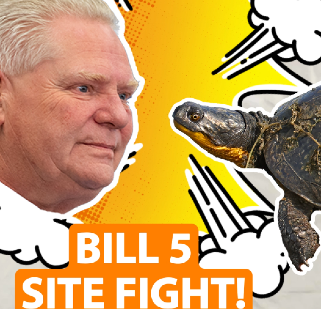 Premier Dough Ford and a Blandings Turtle face off in front of an angry orange background and the words "Bill 5 Site Fight"