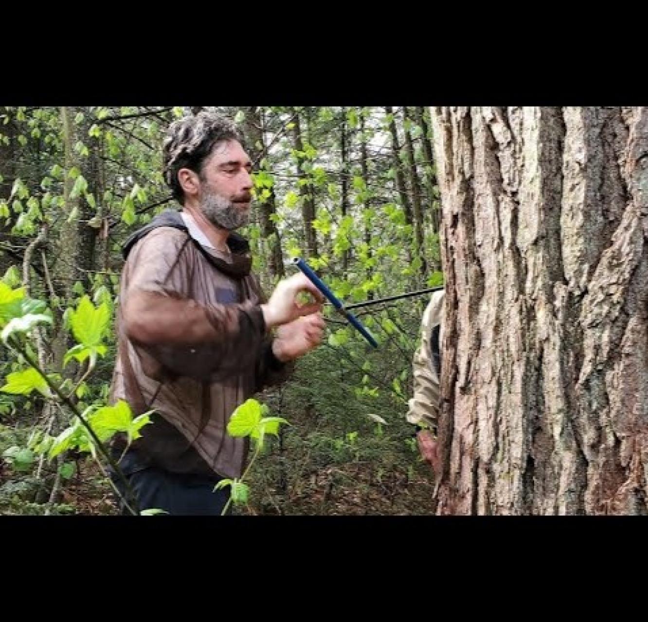 A tall man in a brown raincoat works with tools next to an enormous tree that quickly disappears out of the frame.