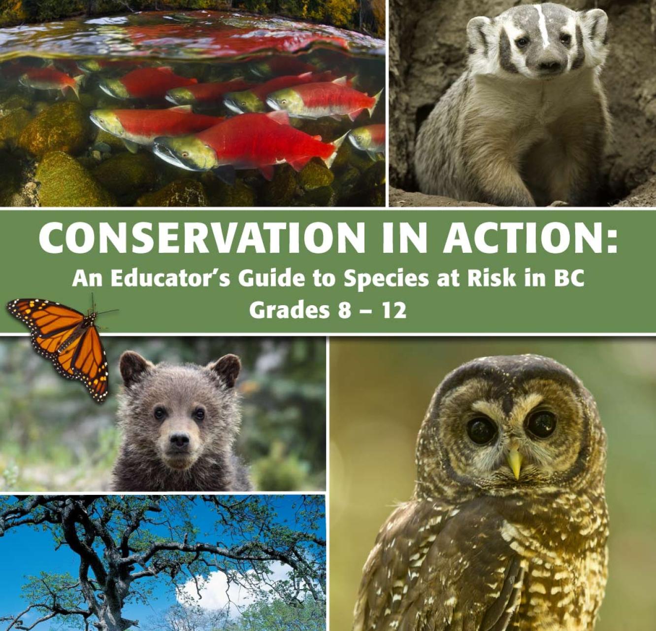 A photo collage showing sockeye salmon, an american badger, grizzly bear cub, spotted owl, and garry oak ecosystem. The title "Conservation in Action" is laid out over a green bar in the middle of the collage.