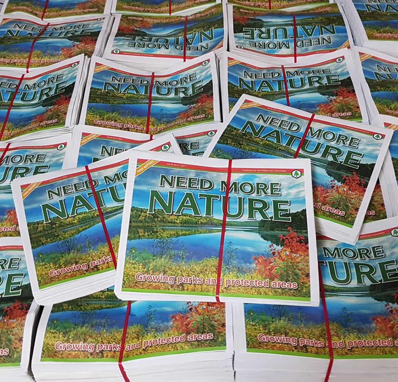 A palette of newspaper publications from the Wilderness Committee. The paper's title reads "Need More Nature".