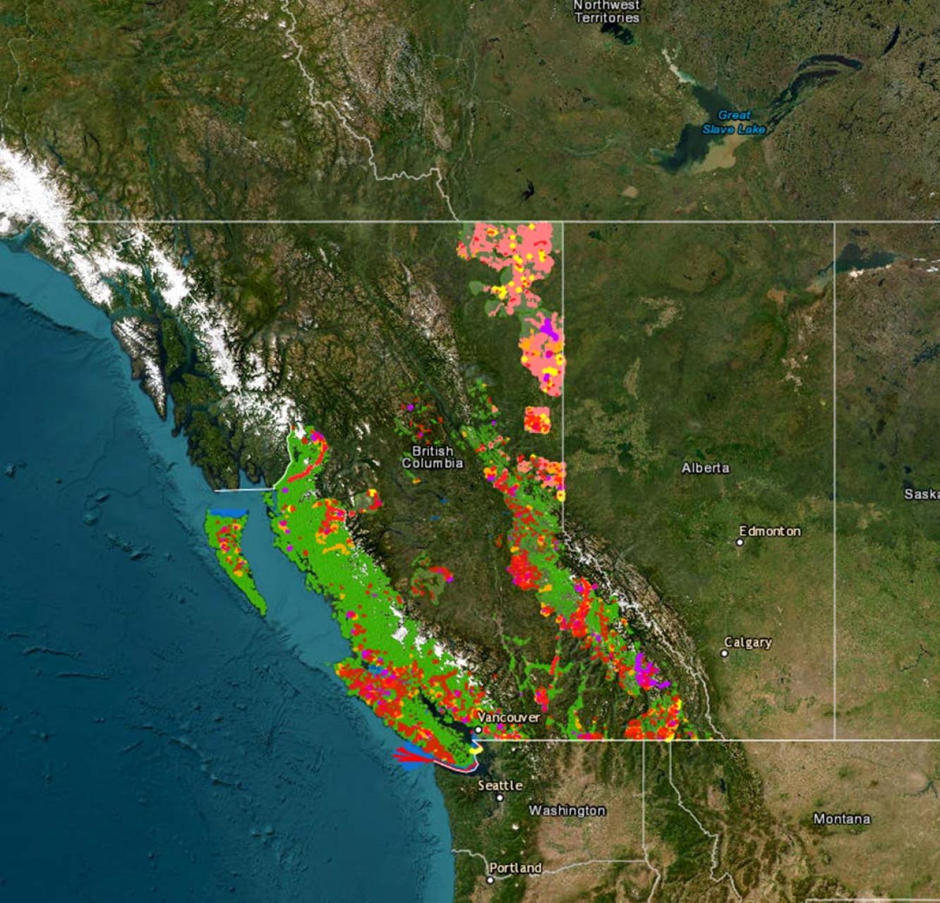 A map highlighting where at-risk species habitat are overlapping with industrial activity.
