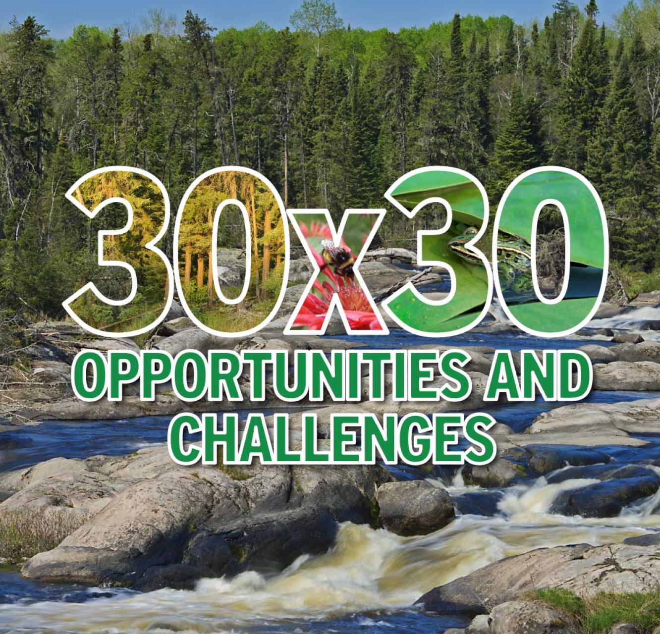 Background photo of Wenosaga Rapids, in Ear Falls, Ontario with a collage of species shown through the title 30x30.