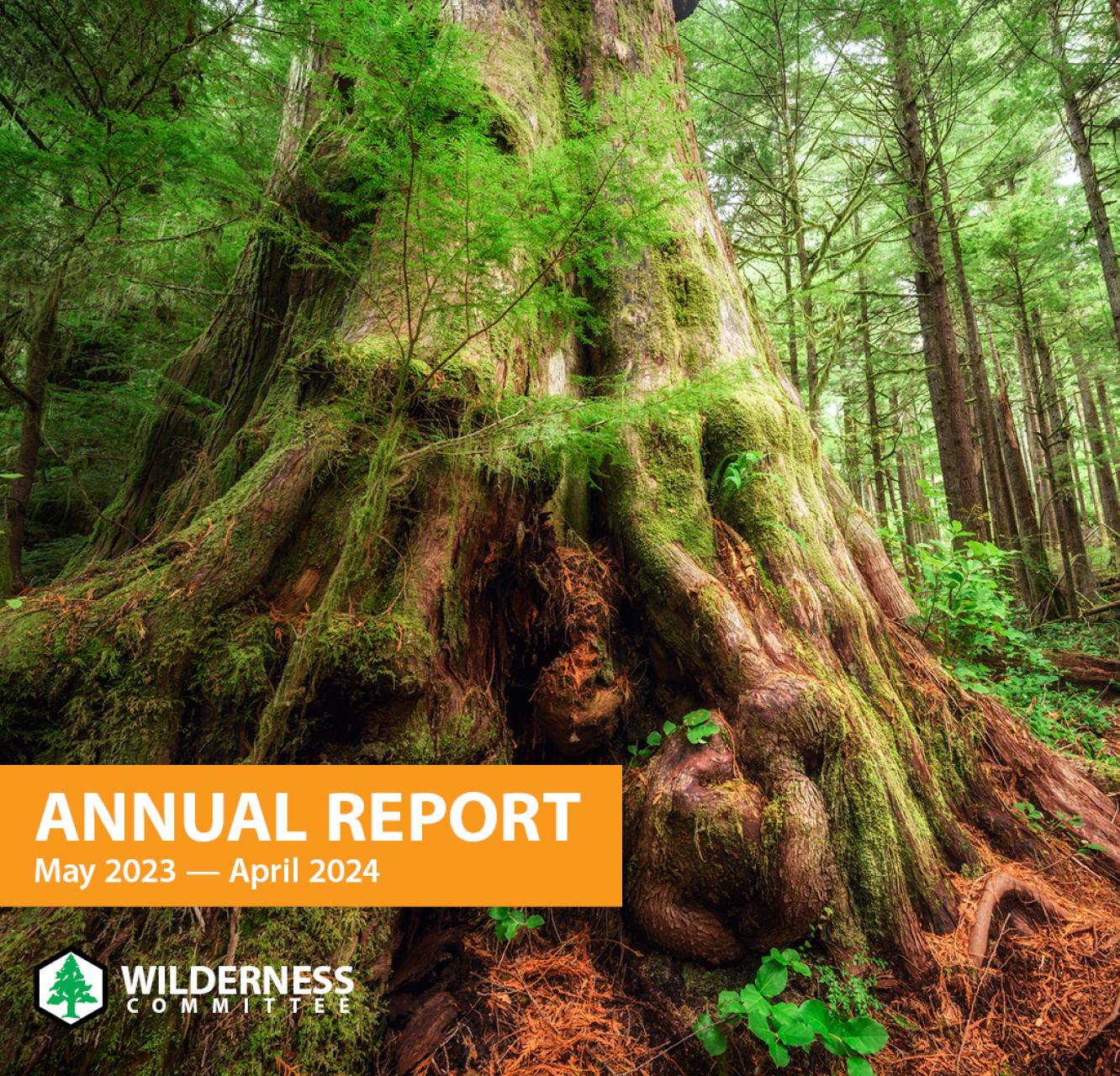 "Annual Report" for the year 2023 and 2024 with a Western redcedar old-growth as the background image of the cover