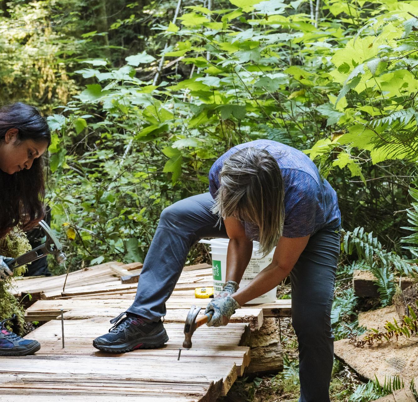Volunteers hammering nails into a boardwalk in the Walbran Valley ancient forests.