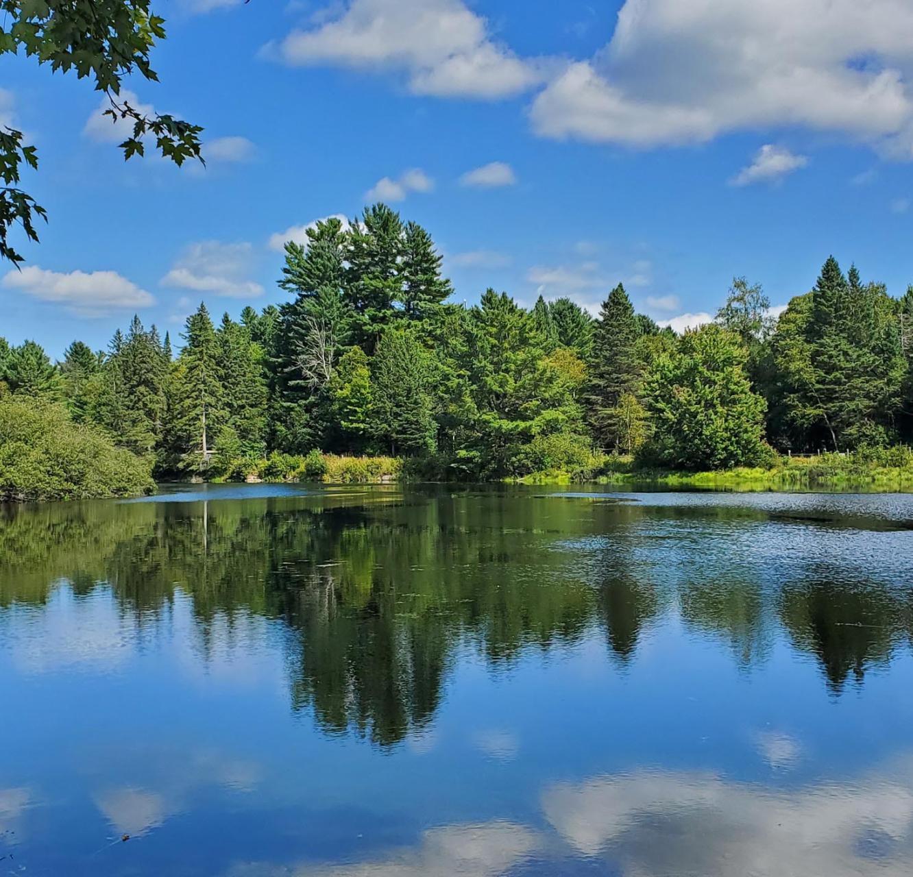 A lake shines like a mirror, reflecting the intense greens of the surrounding forest, the bright blue of the sky and the distinct fluffy white clouds above.