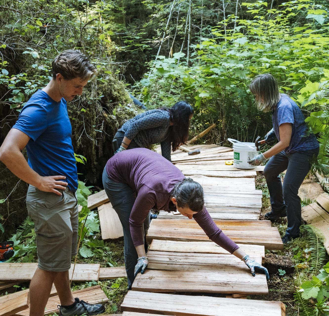 A group of people working on a trail in the forest. They're putting planks in place to create a walkway. End of image description.