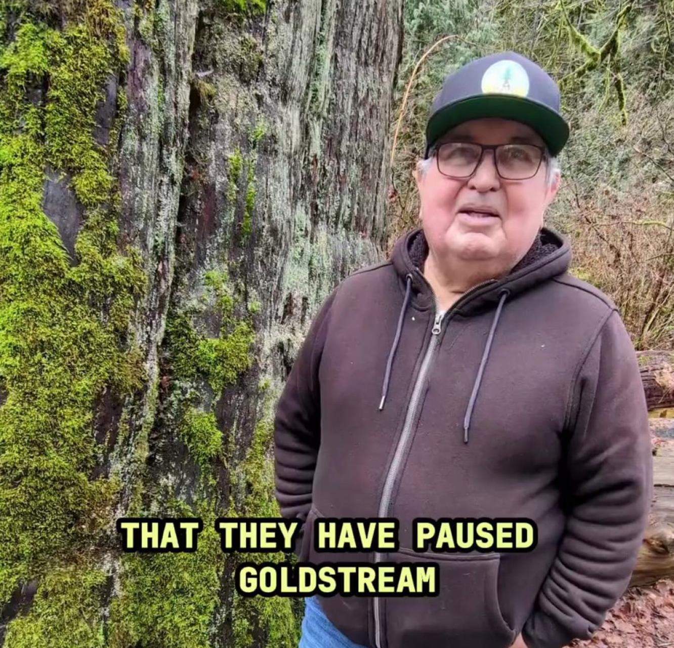 Elder Carl Olsen standing next to a tree in Goldstream. Text on the image says "that they have paused Goldstream." End of image description.