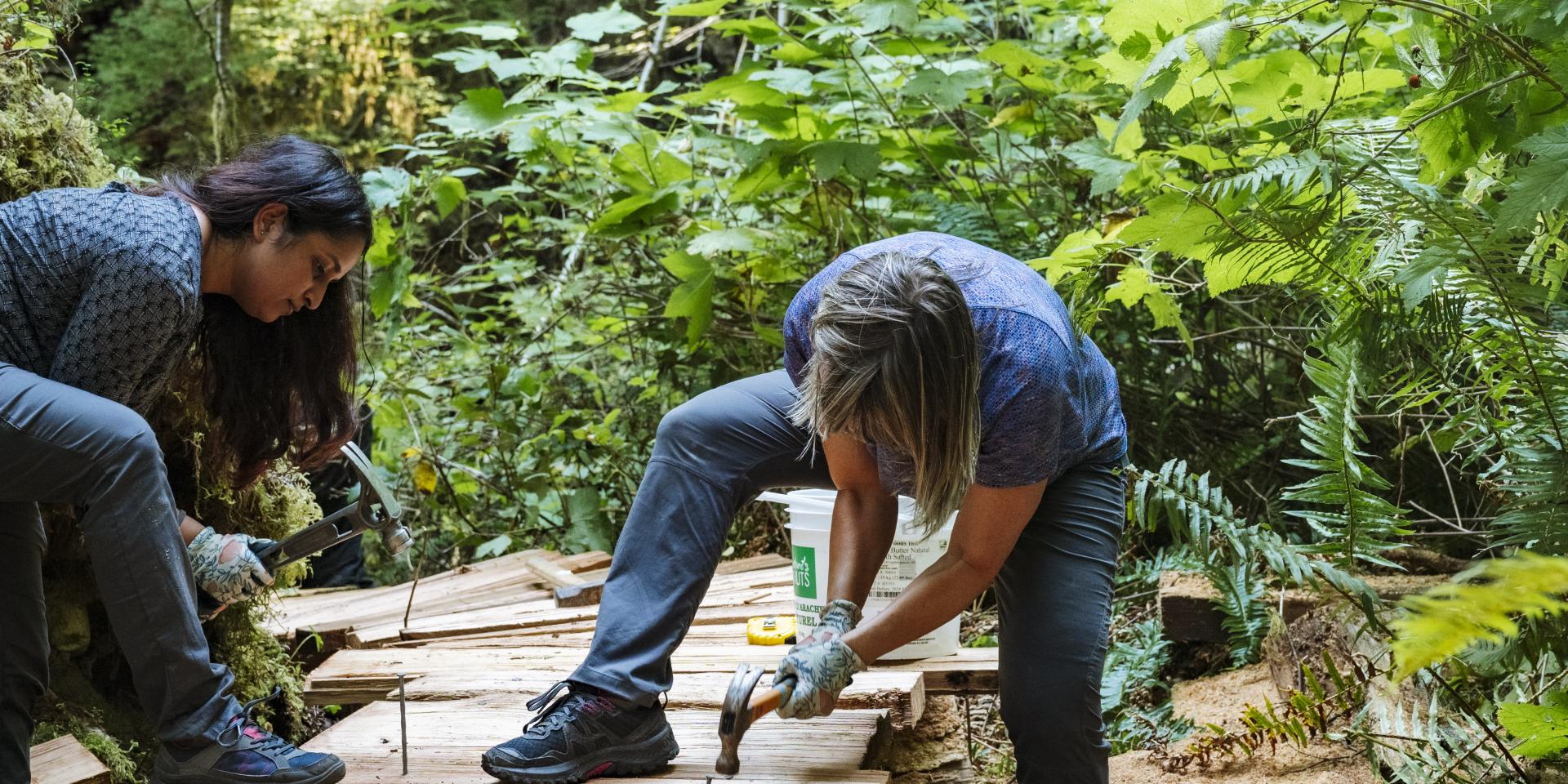 Volunteers hammering nails into a boardwalk in the Walbran Valley ancient forests.