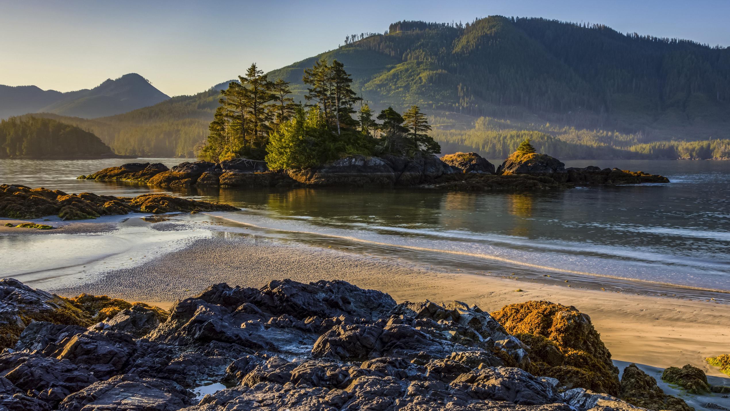A small lump of lands with fir trees growing sticks out from the shallow shoreline of a lake with smooth waters. A towering mountain covered in forest rises in the background.
