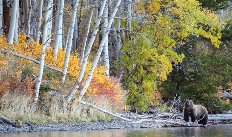 Protect these last chance landscapes