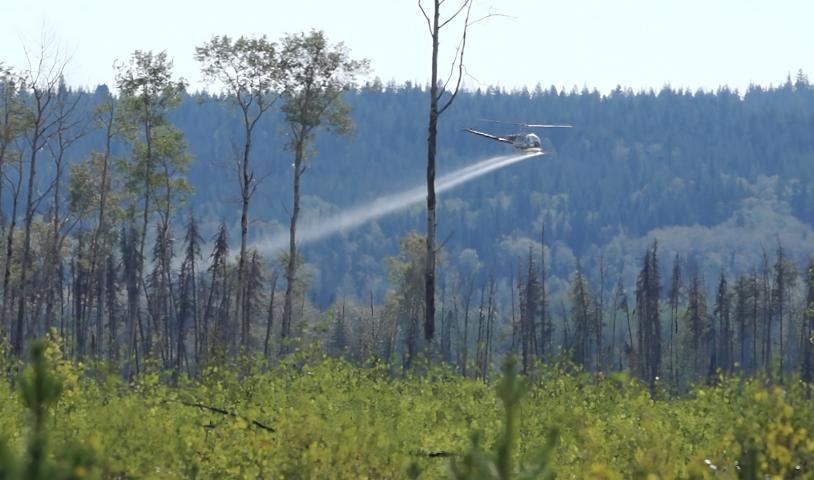 Stop the poisonous glyphosate spray
