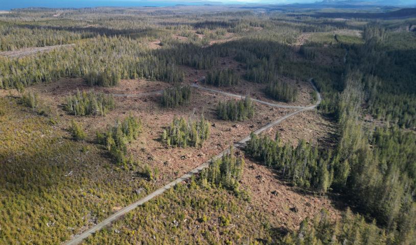 Support Kwakiutl: No old-growth logging without community consent