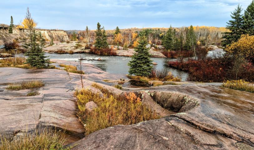 Build a strong Manitoba nature protection branch!