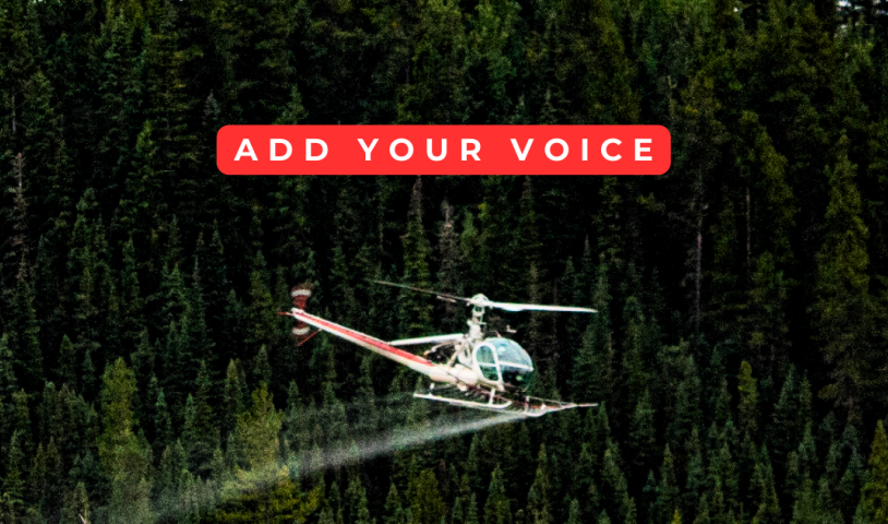 Let forests grow declaration