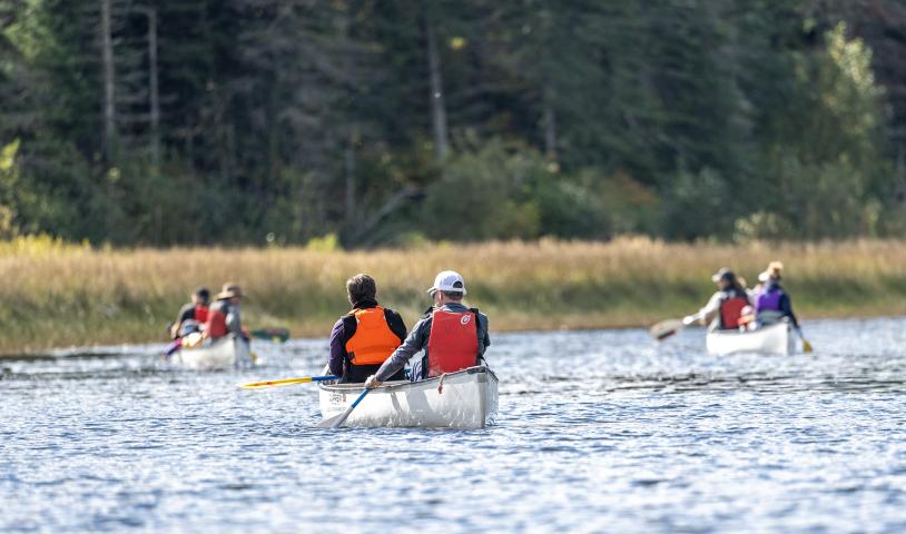 Help Protect the lower Bird River