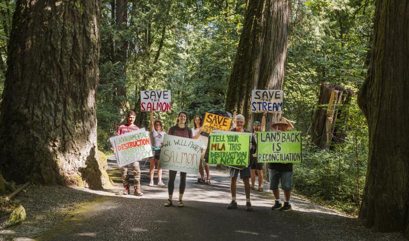 Save Goldstream River