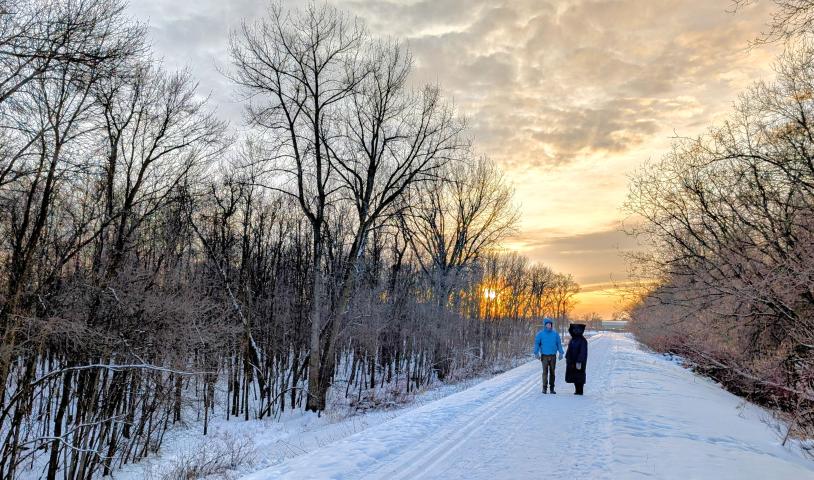 Grow nature in our neighbourhoods by protecting the Lemay Forest