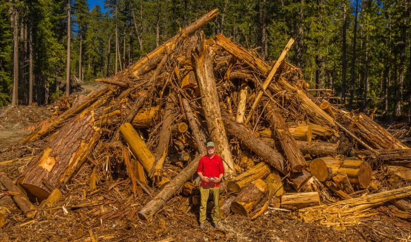Stop logging spotted owl critical habitat now!