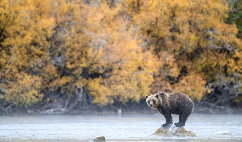 Stop Bill 15: A power grab that could destroy ecosystems