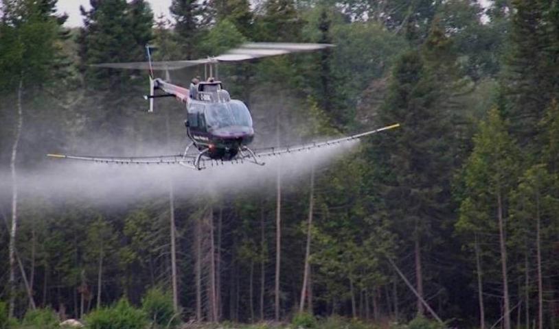 Tell Ontario to stop the toxic spray on forests