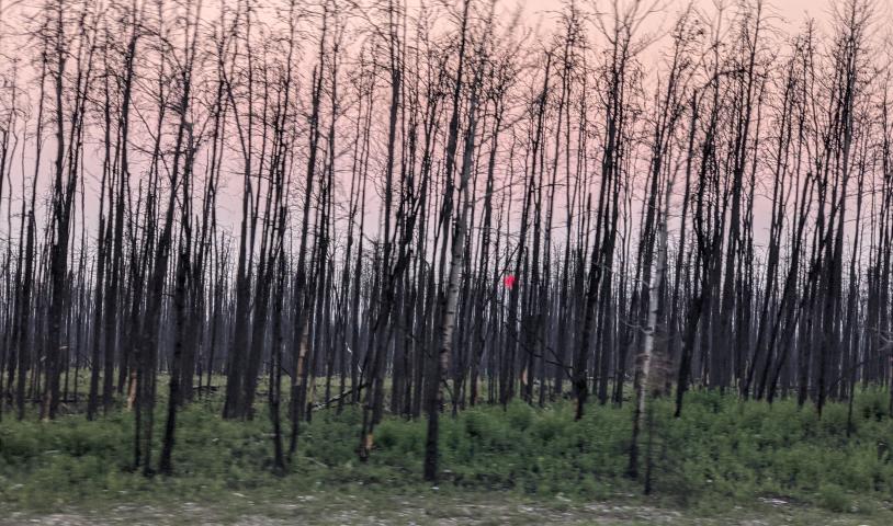 Asking for a safe climate future