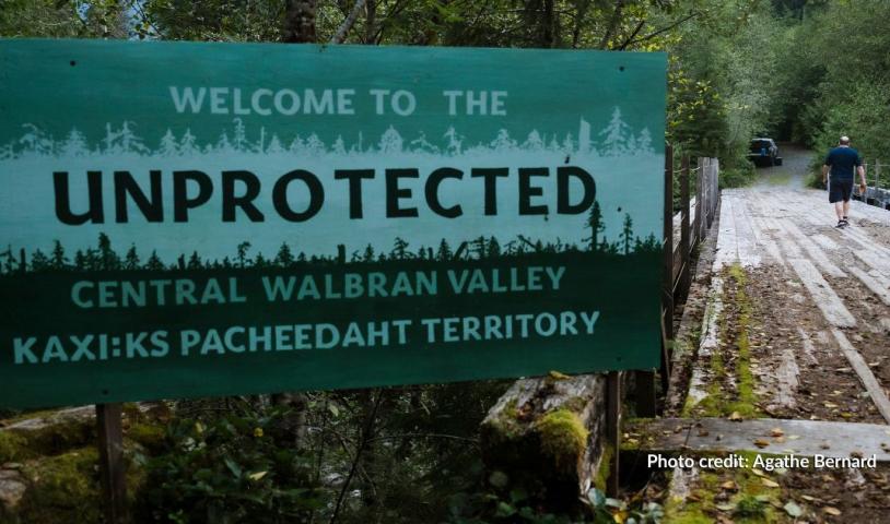 A sign in front of a bridge in the Walbran Valley. The sign reads "welcome to the unprotected Central Walbran Valley. Kaxi:ks Pacheedat Territory." End of image description.