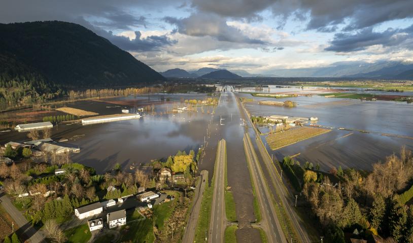A city in the middle of a flood, houses and streets are sunk underwater. End of image description. 