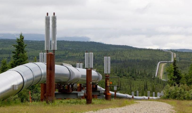 A photo of a pipeline in the middle of a forest. End of image description.