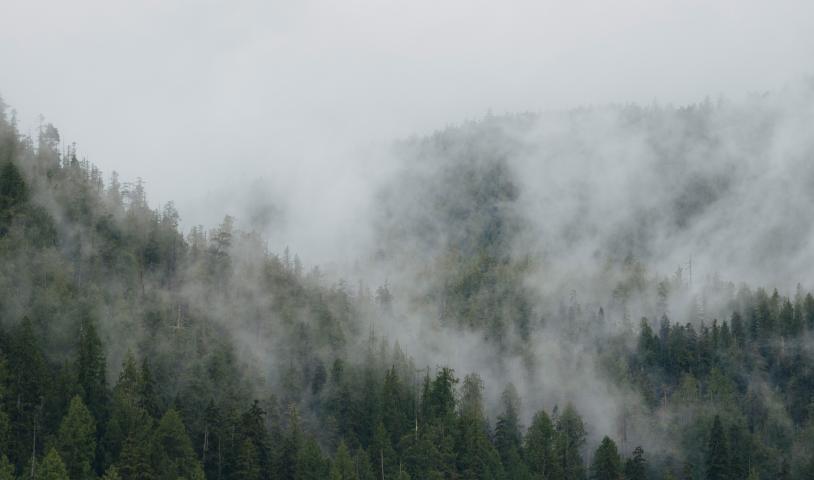 A foggy mountain and forests. End of image description.