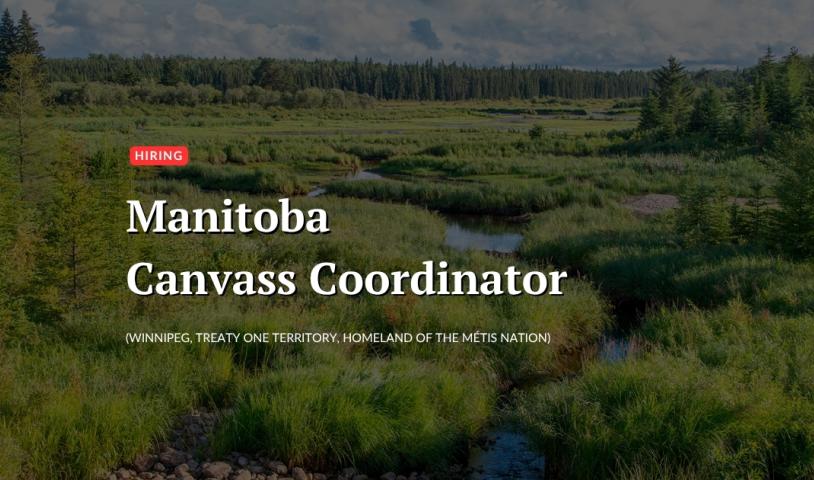 A photo of forest in Manitoba. Text over the image says "Hiring. Manitoba Canvass Coordinator. Winnipeg, Treaty One Territory, Homeland of the Métis Nation." End of image description.